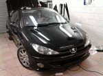 Folie na auto Peugeot 206